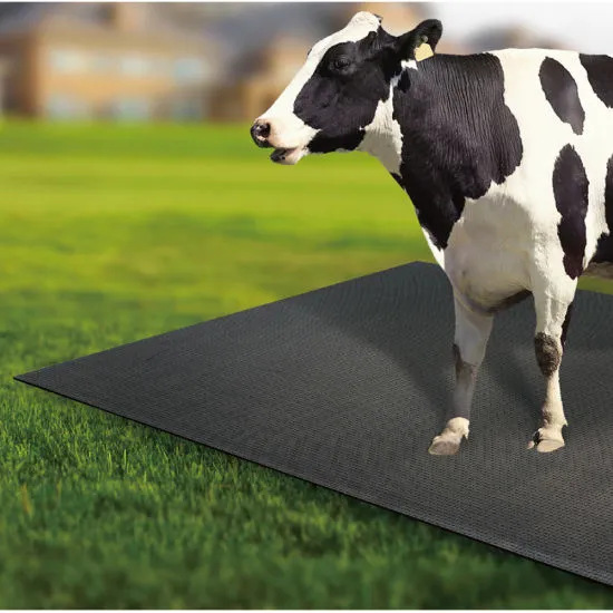 Natural Rubber Mat for Animals (24 mm)