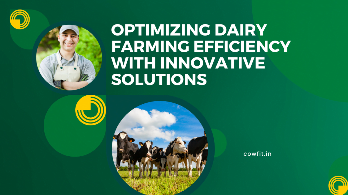 Dairy Farming Efficiency with Innovative Solutions