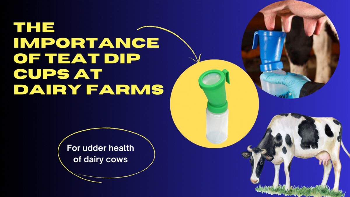 Teat Dip Cups at Dairy Farms